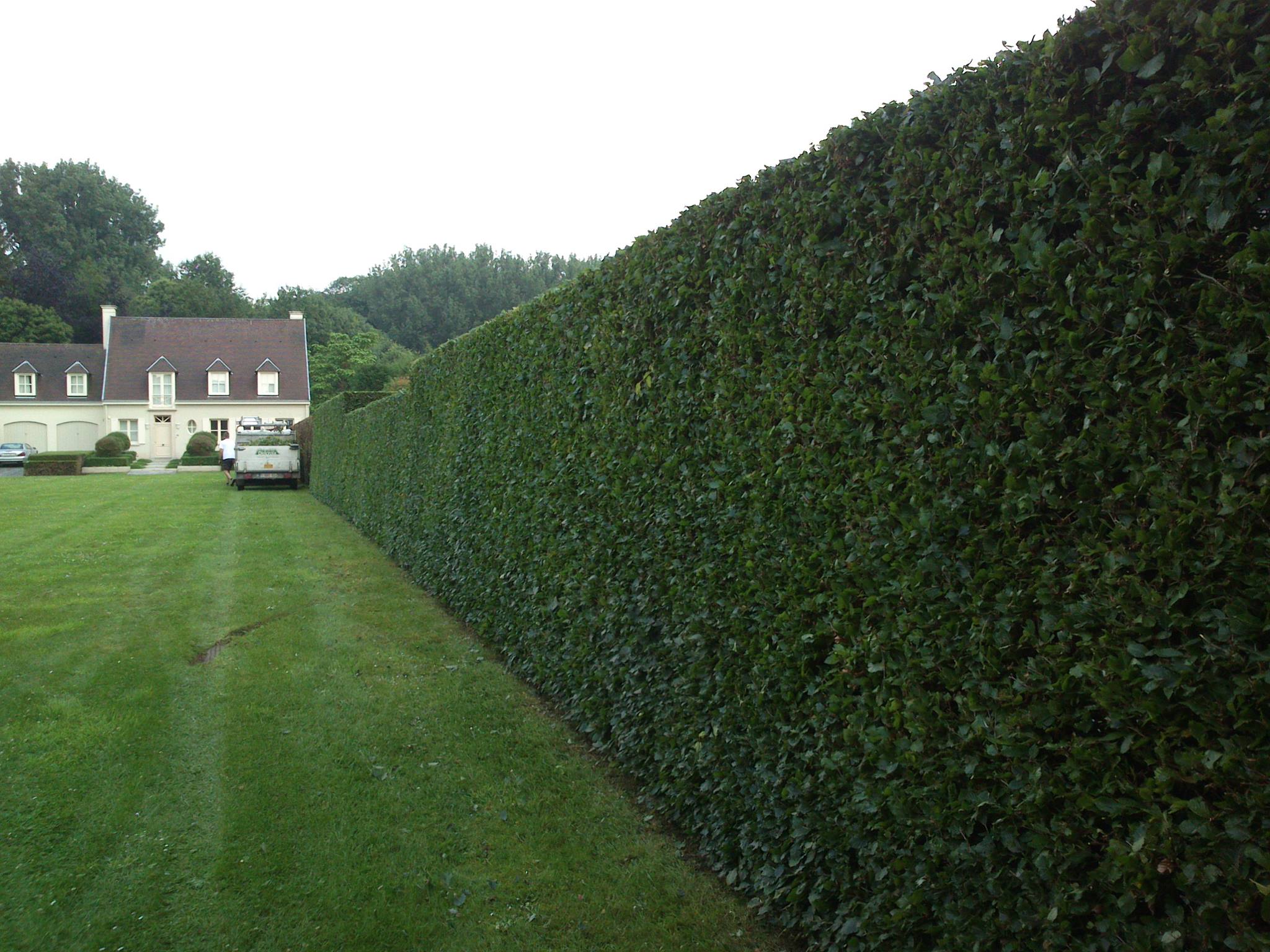 Tuinonderhoud realisatie 03 door Groenvoorziening Delcroix