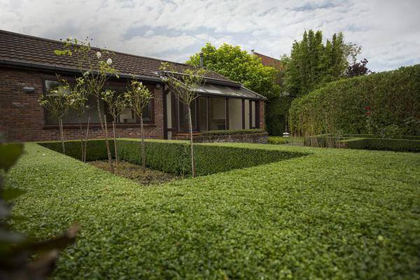 Tuinonderhoud realisatie 06 door Groenvoorziening Delcroix