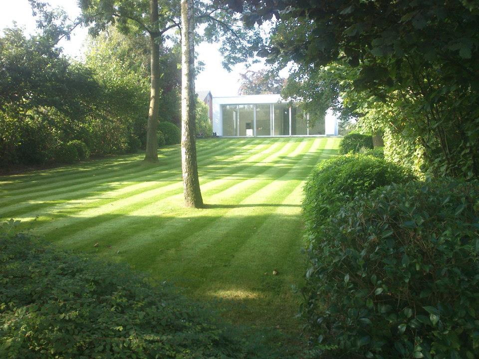 Strak afgereden gazon na onderhoud met aangrenzende beplanting